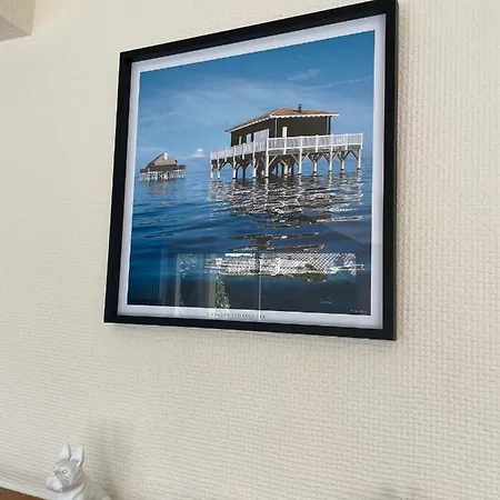Grande Maison Avec Piscine Chauffee * La Teste-de-Buch